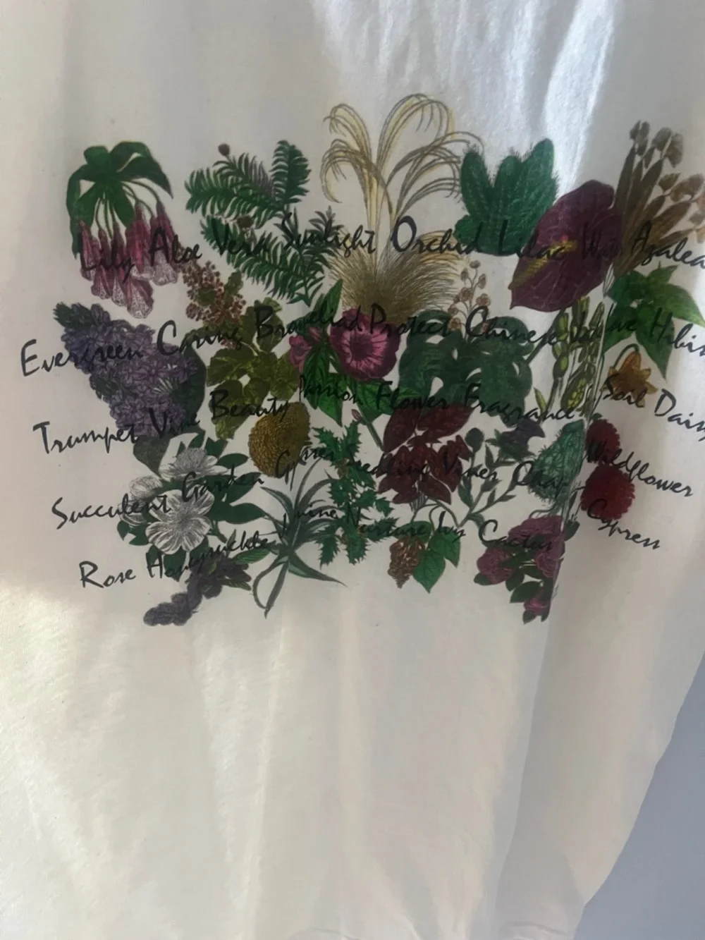 NWT Maze Vintage Floral Graphic Tee Size L - Picture 4 of 6